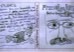 創作絵本を描き、発信しています
